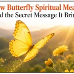Yellow Butterfly Spiritual Meaning and the Secret Message It Brings